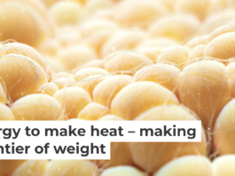 There is more to fat than meets the eye. Thom Leach/Science Photo Library via Getty Images